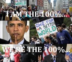 occupy wall street collage - the 100%